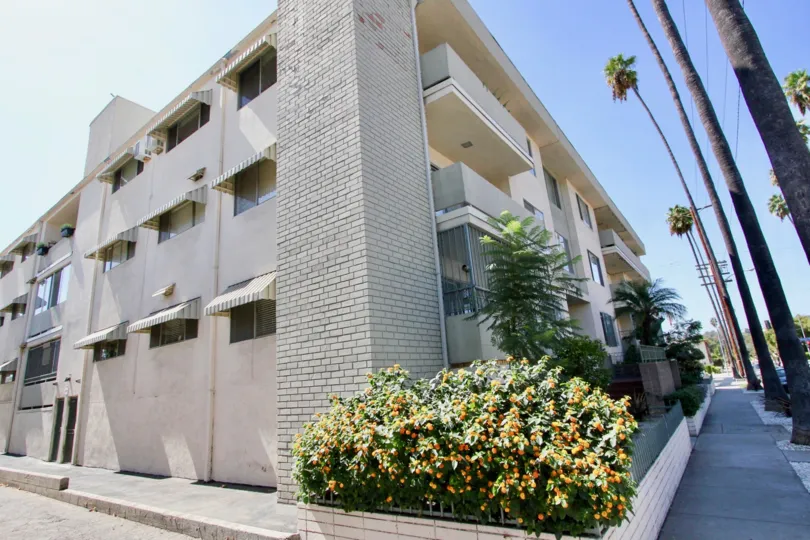 The view of Los Feliz Imperial in Los Feliz, California