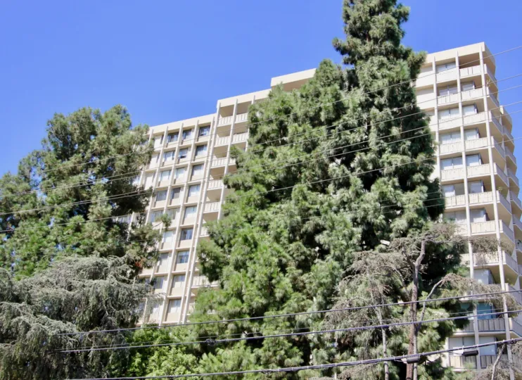 The trees in front of Los Feliz Towers