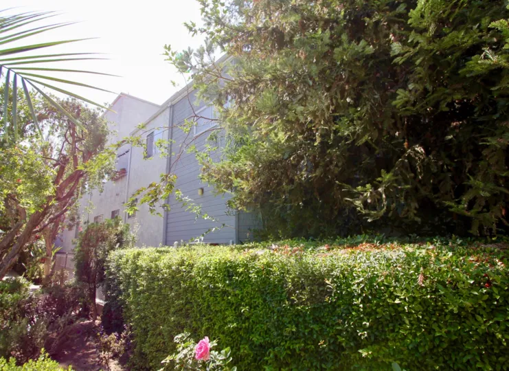 The landscaping around Los Feliz Villas