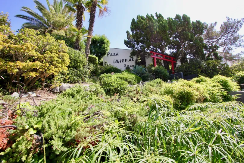 The yard in front of Park Imperial