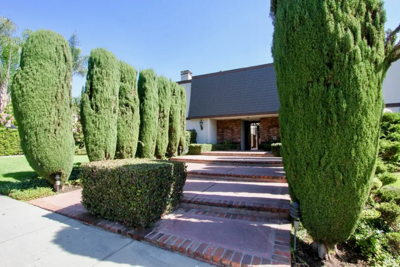 The trees lining the walkway in Perlita Gardens II