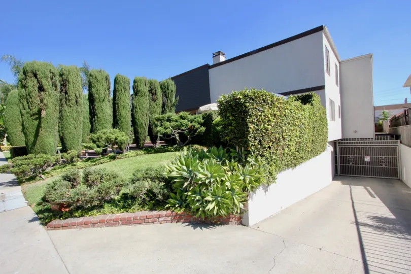 The driveway into Rodney Drive