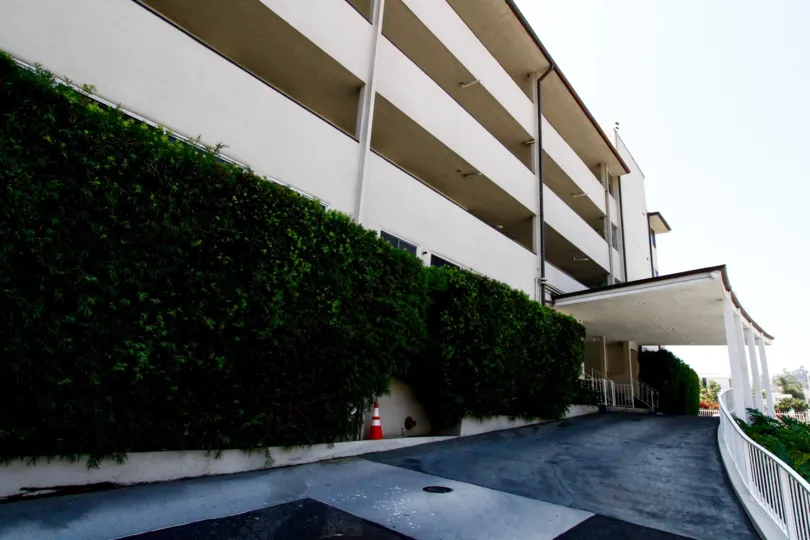 The hedges around the Malibu Outrigger