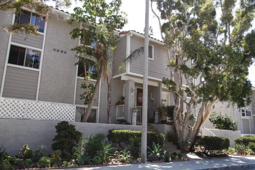 The trees around Malibu Villas