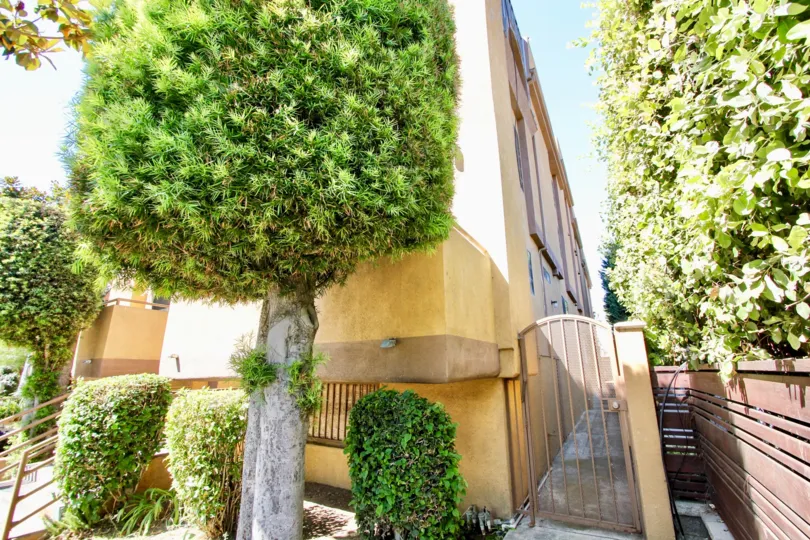 The side entrance into 11417 Culver Blvd