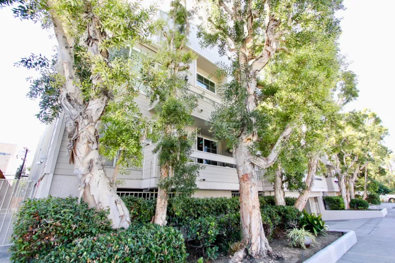 The landscaping around 11930 Avon Way in Mar Vista, California