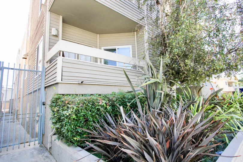The landscaping aruond 11938 Courtleigh in Mar Vista, California