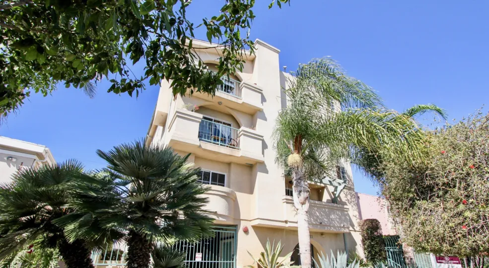 The trees  around 12311 Pacific Ave
