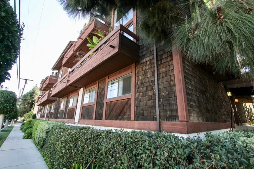 The hedges around 12602 Pacific Ave