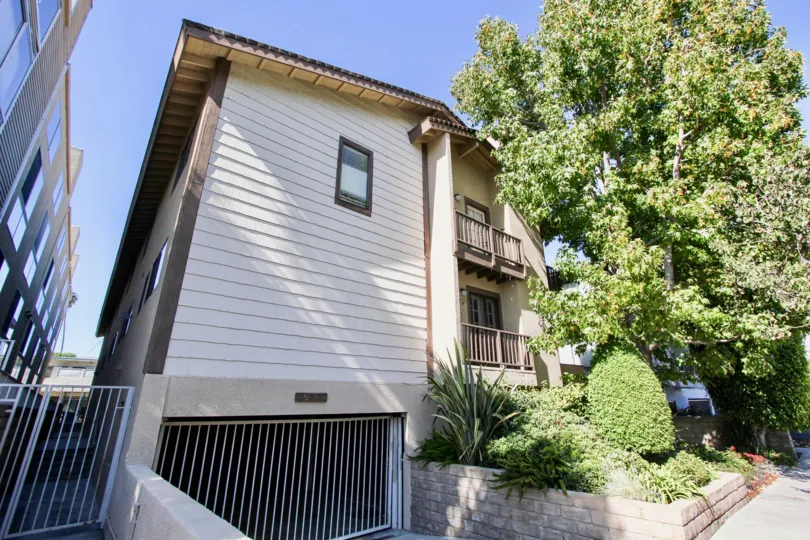 The landscaping around 12717 Mitchell Ave in Mar Vista, California