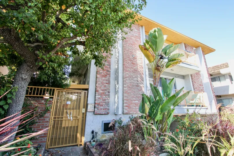 The landscaping around 12735 Caswell Ave in Mar Vista, California