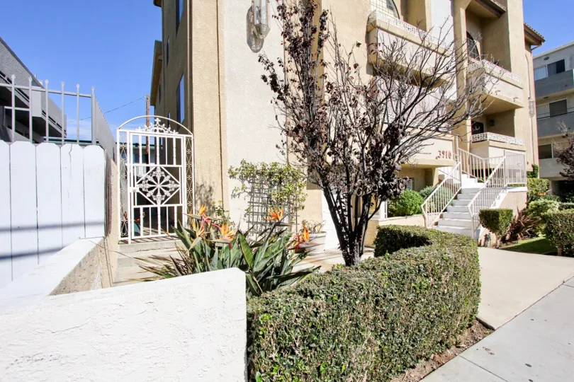 The hedges at 3910 Moore St in Mar Vista, California
