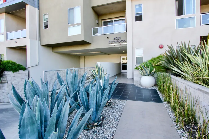 The plants around 4211 Redwood