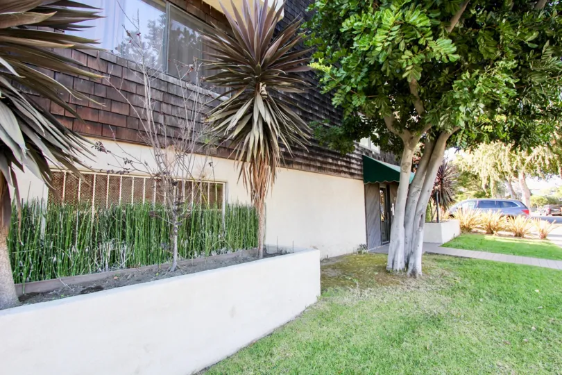 The yard in front of 4283 Moore St