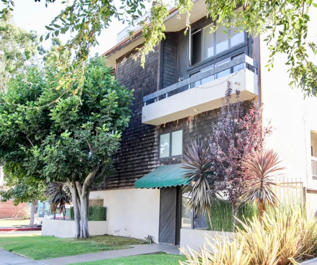 The landscaping around 4283 Moore St in Mar Vista, California
