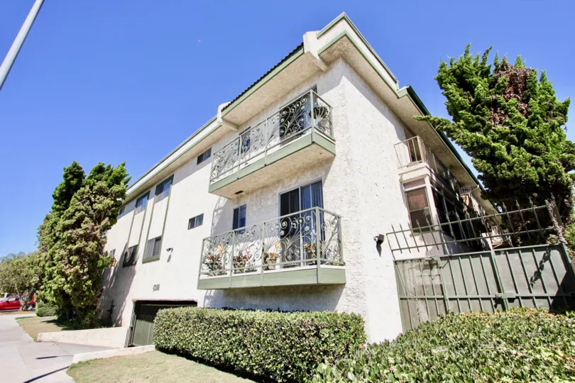The hedges around 4350 Berryman in Mar Vista, California