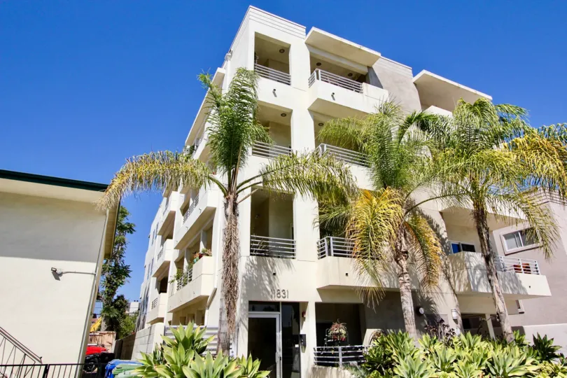 The palm trees around Avon Gardens in Mar Vista, California