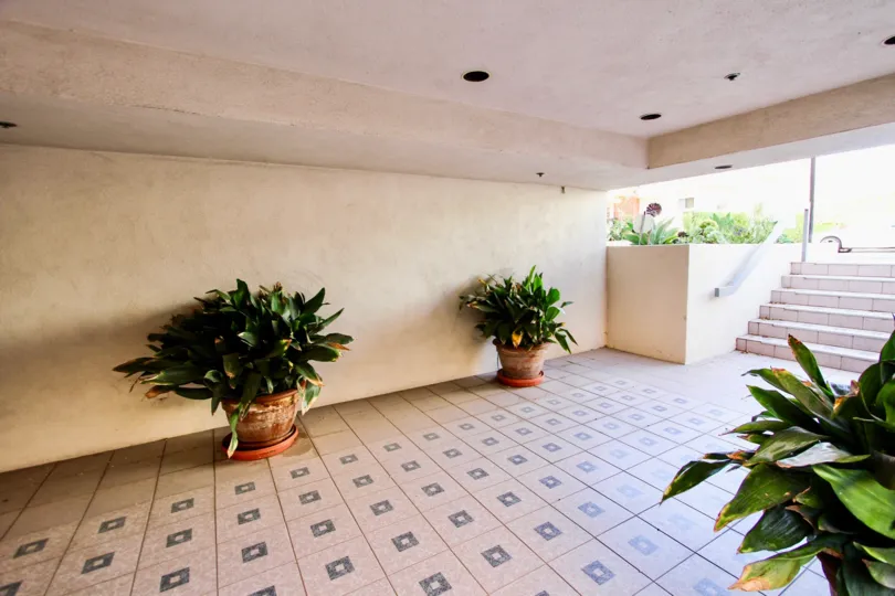 The potted plant in the hallway at Avon Way Condominiums