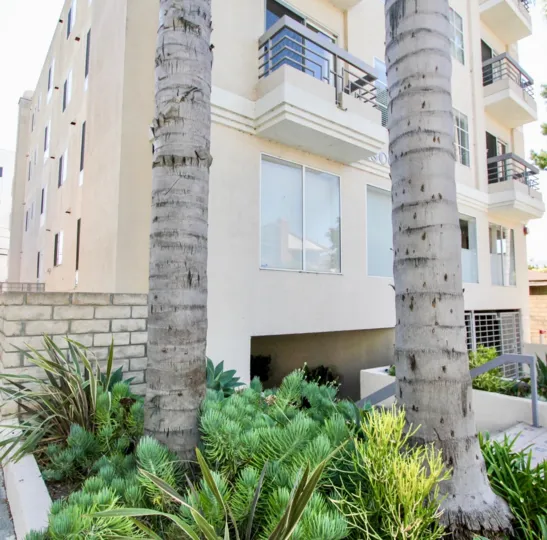 The landscaping around Avon Way Condominiums in Mar Vista, California