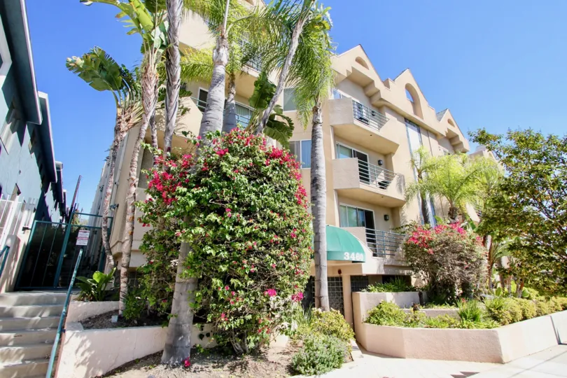 The landscaping around Centinela Ocean View Condos