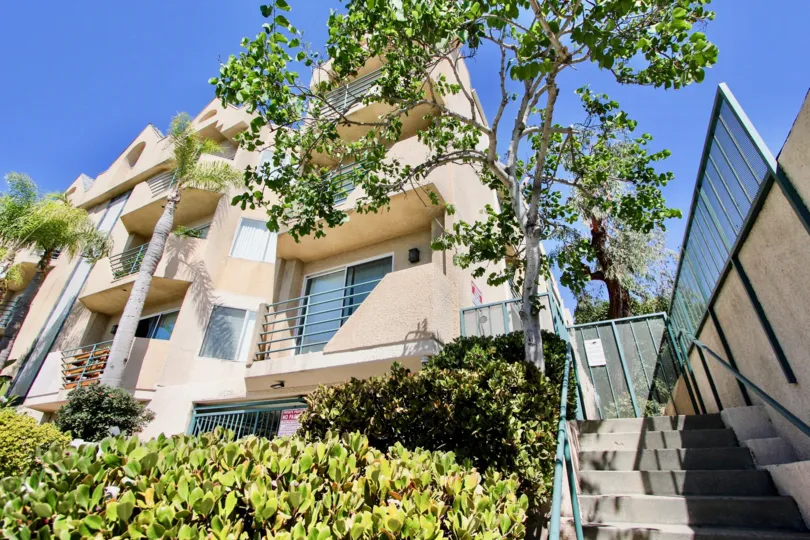 The trees around Centinela Ocean View Condos