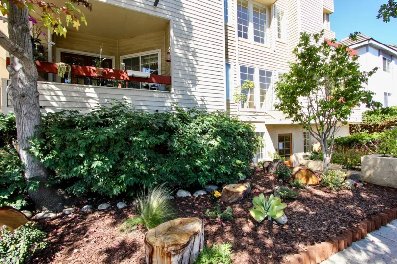 The plants around Courtleigh Condos in Mar Vista, California