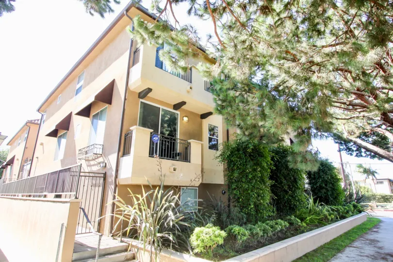 The windows in Federal Avenue Townhomes
