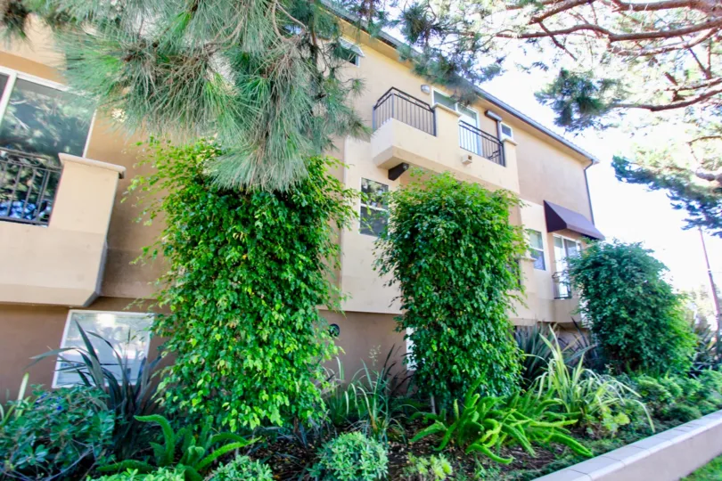 The view of Federal Avenue Townhomes in Mar Vista, California