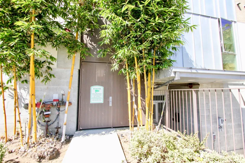 The sidewalk up to Habitat Pacific