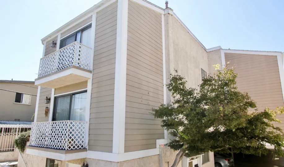 The trees that are seen around Mar Vista Townhomes