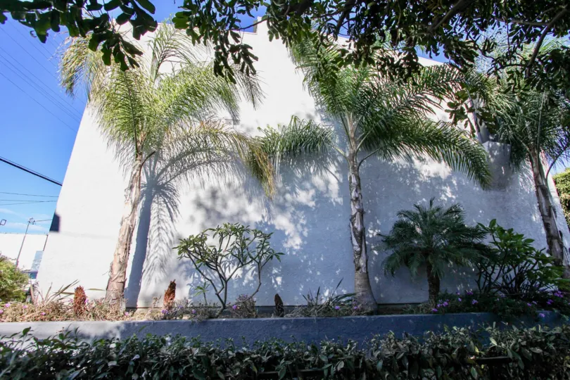 The landscaping around Marina East Townhomes
