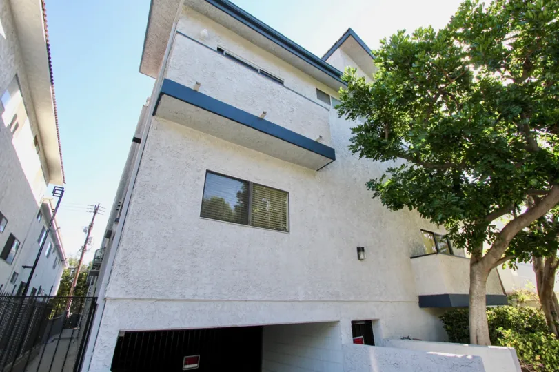 The windows in the Mitchell Townhomes