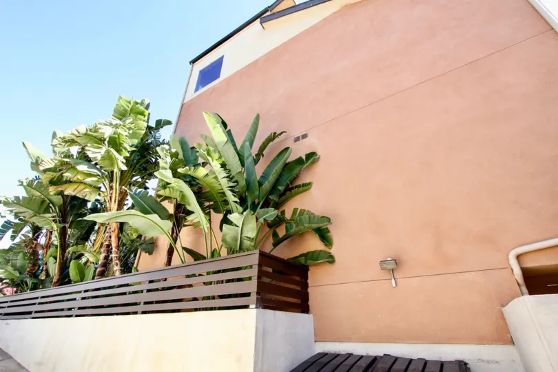 The plants around Moore Street Townhomes
