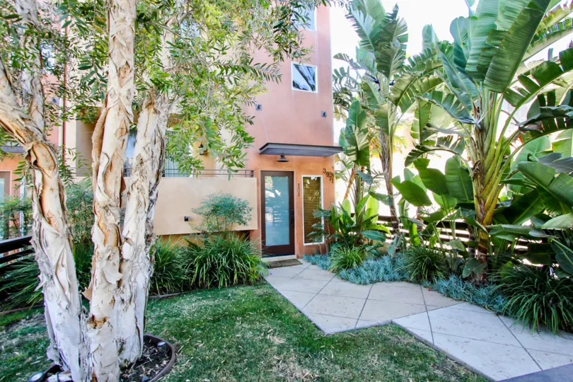 The trees around Moore Street Townhomes in Mar Vista, California