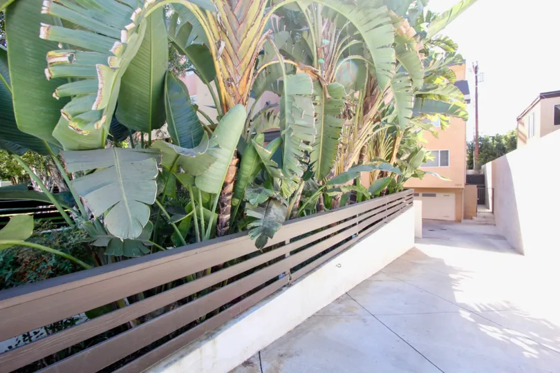 The landscaping around Moore Street Townhomes