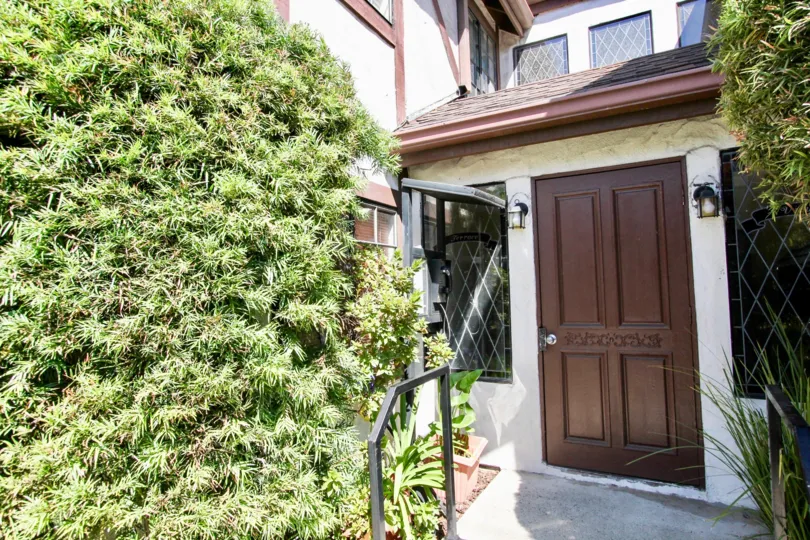 A door into Terrace View