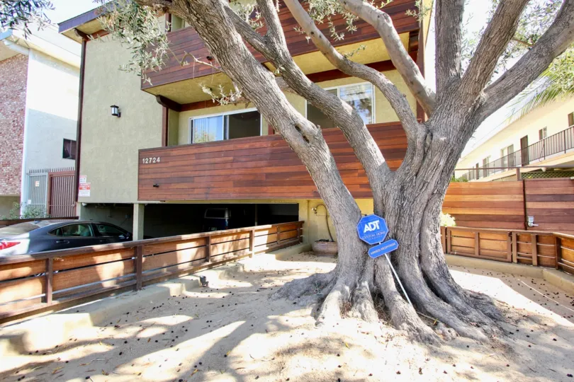 The tree outside of The Caswell