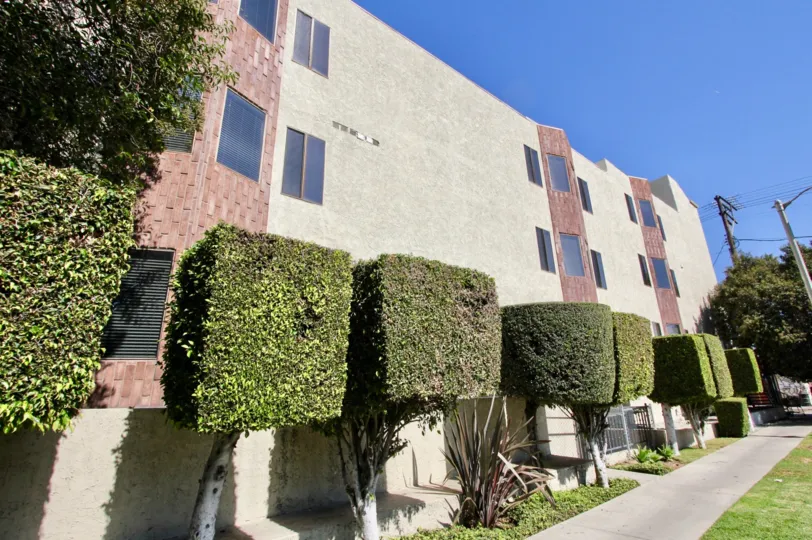 The hedges alongside the Washington Manor