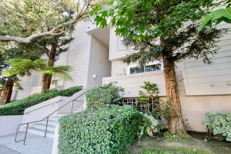 The landscaping around Washington Place Townhomes in Mar Vista, California