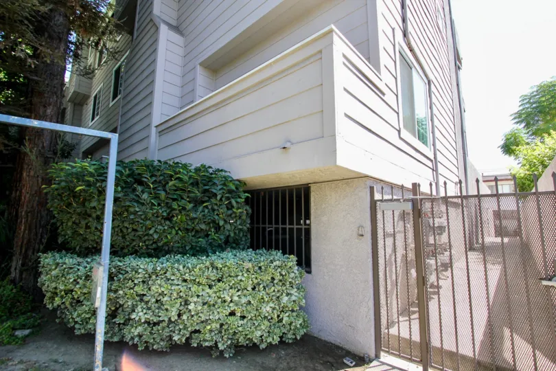 The hedges around Washington Place Townhomes