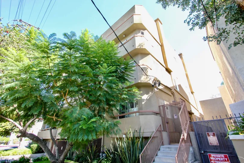 The trees around Westminster Villas