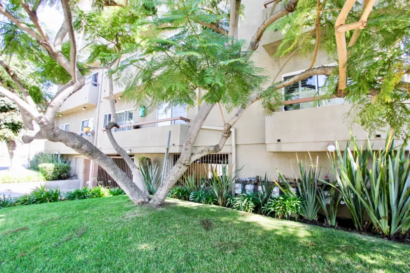 The yard in front of Westminster Villas