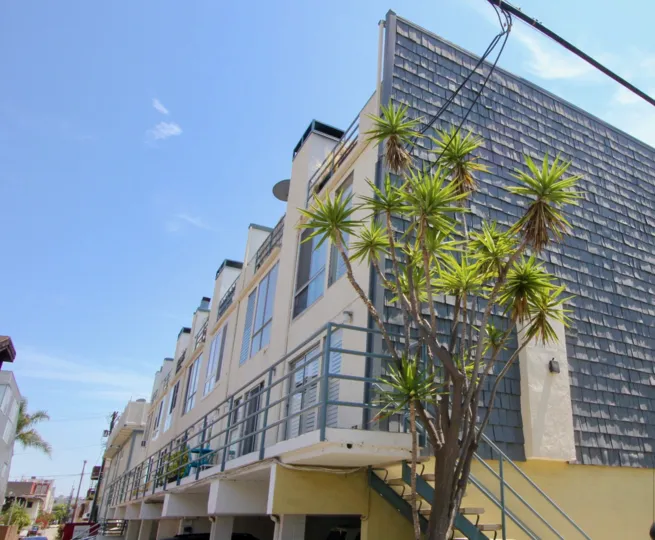 Palm trees bask in the sun near 100 Driftwood community in Marina del Ray, California