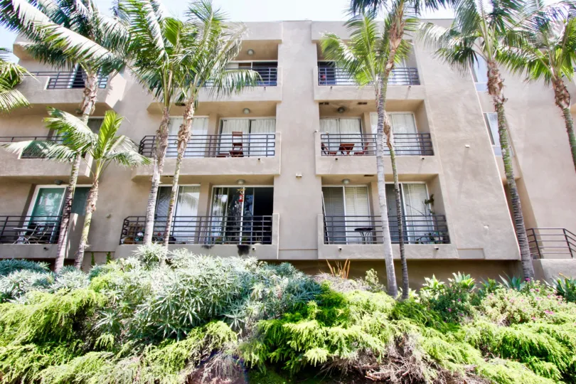 a brown building in 20 Catamaran in a sunny day with trees