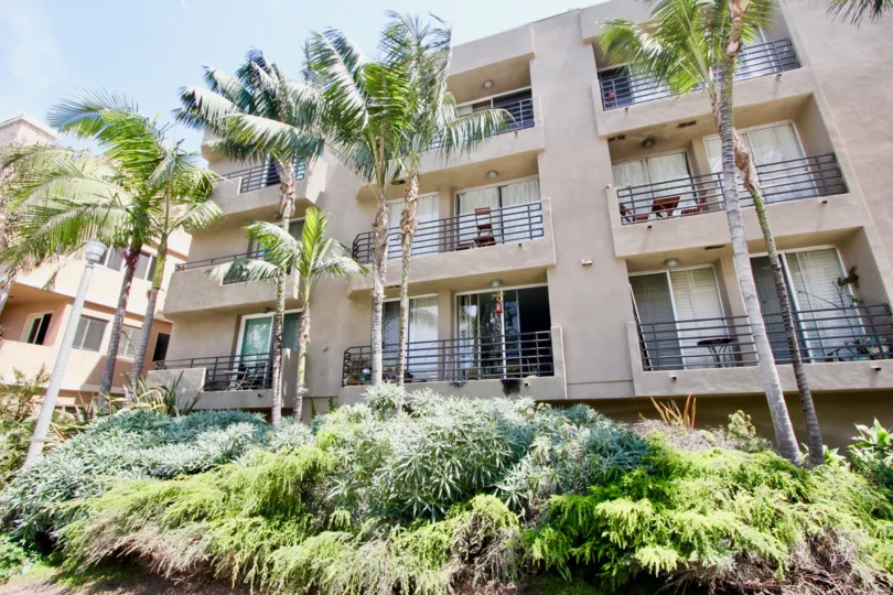 20 Catamaran brown walls and her superbly awesome flowering plants and trees, Marina Del Rey, California