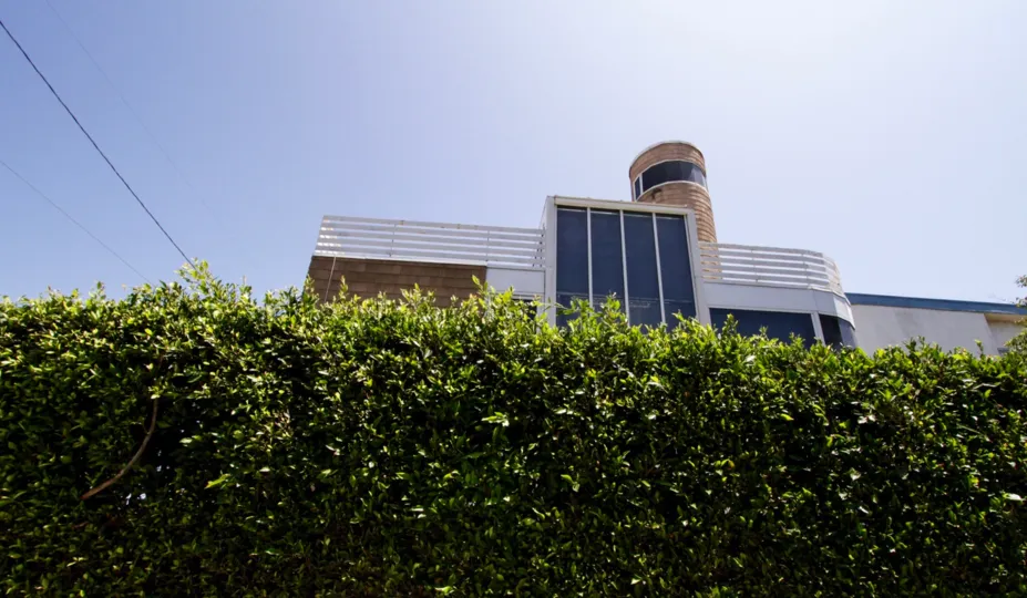 The hedges around 28 Mast in Marina Del Rey