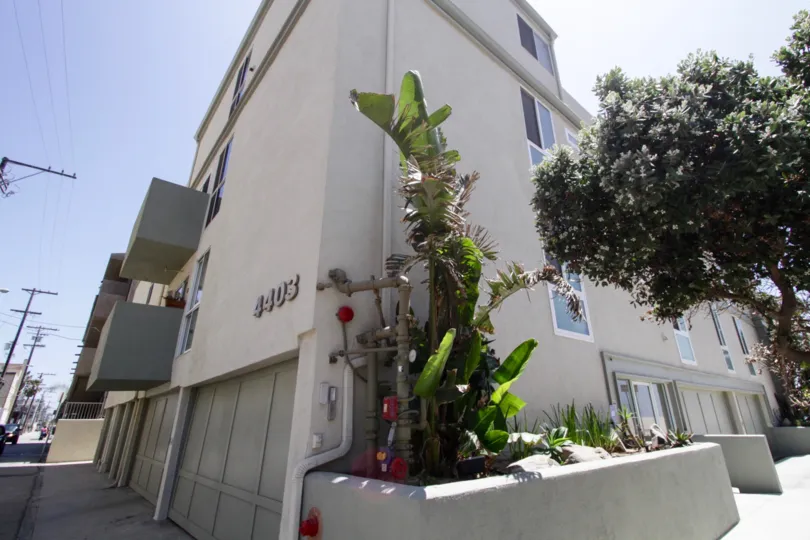 The landscaping seen at 4403 Ocean Front Walk