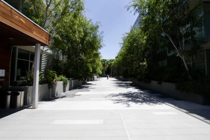 The driveway into the Gallery Lofts MDR