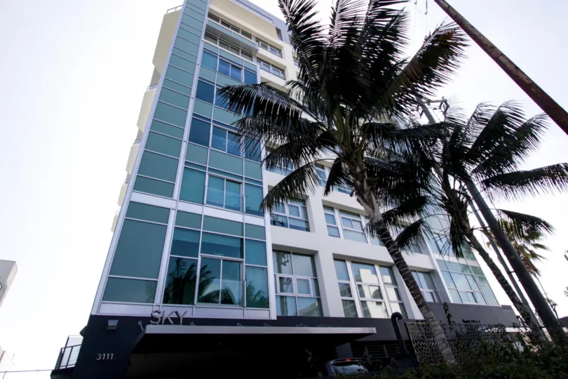 The palm tree in front of Latitude 33 Beach Collection