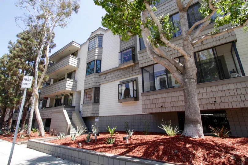 The landscaping at Marina Strand II in Marina Del Rey